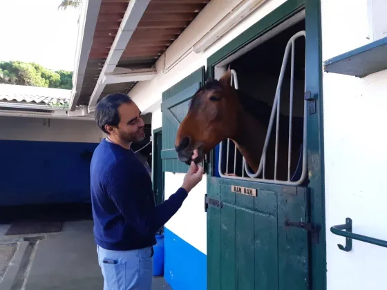 Cuidados personalizados para cavalos na Quinta da Marinha