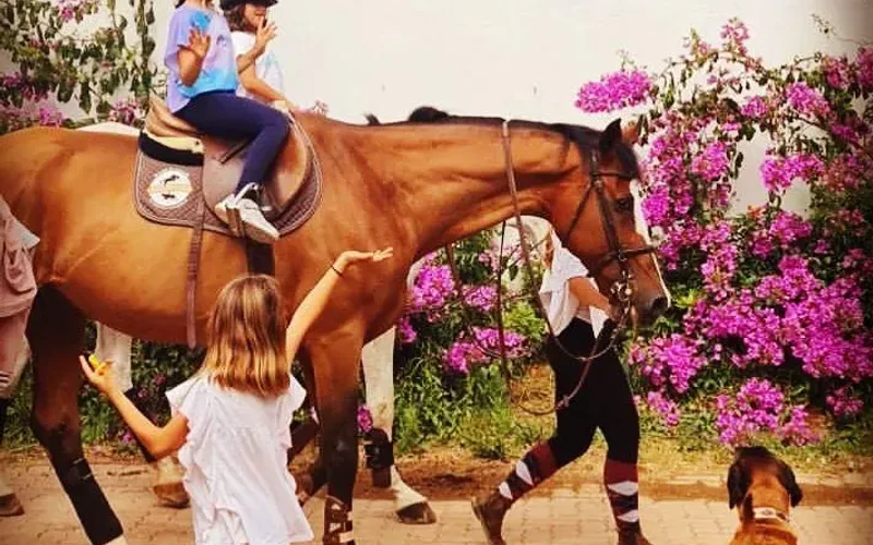 First Time Horse Riding as an Adult — What to Expect