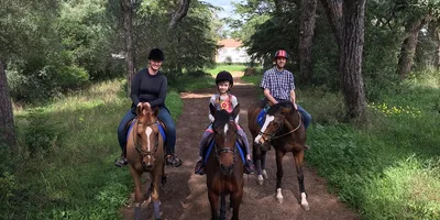 Passeio a cavalo pelos pinhais da Quinta da Marinha